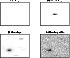 \begin{figure}
\par\includegraphics[width=8.8cm,clip]{0113fig4.eps}\end{figure}