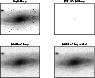 \begin{figure}
\par\includegraphics[width=8.3cm,clip]{0113fig7.eps}\end{figure}