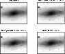 \begin{figure}
\par\includegraphics[width=8.3cm,clip]{0113fig8.eps}\end{figure}