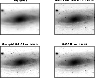 \begin{figure}
\par\includegraphics[width=8.3cm,clip]{0113fig9.eps}\end{figure}