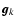 $\vec{g}_k$