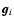 $\vec{g}_i$