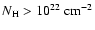 $N_{\rm H}>10^{22}~{\rm cm^{-2}}$