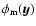 $\phi_{\rm m}(\vec{y})$