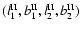$(l^{{\rm II}}_1,\bII_1,l^{{\rm II}}_2,\bII_2)$