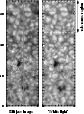 \begin{figure}
\par\includegraphics[width=7.4cm,height=10cm,clip]{0879fig1.eps}
\end{figure}