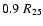 $0.9\;R_{25}$