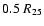 $0.5\;R_{25}$