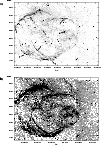 \begin{figure}
\par\includegraphics[width=8.8cm,clip]{0410fig1.eps}
\end{figure}