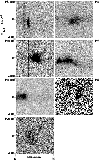 \begin{figure}
\par\includegraphics[width=8.8cm,clip]{0410fig2.eps}
\end{figure}