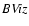 $\it BViz$