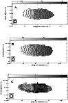 \begin{figure}
\par\includegraphics[angle=-180,width=8.7cm,clip]{1210fig8.eps}
\end{figure}