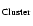 $_{\rm Cluster}$