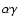 $\alpha \gamma$
