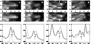 \begin{figure}
\par\includegraphics[width=16cm,clip]{1380fig2.eps}
\end{figure}