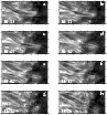 \begin{figure}
\par\includegraphics[width=8.5cm,clip]{1380fig3.eps}
\par\end{figure}