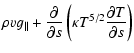 $\displaystyle \rho v g_\Vert + \frac{ \partial }{
\partial s} \left( \kappa T^{5/2} \frac{ \partial T }{ \partial s }
\right)$