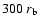 $300~r_{\rm b}$