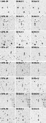 \begin{figure}
\par\includegraphics[width=8cm,clip]{1059fig1.ps} \end{figure}