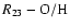 $R_{\rm 23}- {\rm O/H}$