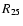 $R_{\rm 25}$