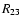 $R_{\rm 23}$
