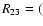 $R_{\rm 23} = ($