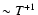 $\sim T^{+1}$