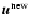 ${\vec u}^{{\rm new}}$