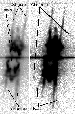 \begin{figure}
\par\includegraphics[width=2.6cm,height=10cm,clip]{1147fg05.eps}\includegraphics[width=4cm,height=10cm,clip]{1147fg06.eps}
\end{figure}