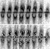 \begin{figure}
\par\includegraphics[width=8.8cm,clip]{1147fg09.eps}\par\includegraphics[width=8.8cm,clip]{1147fg10.eps}
\end{figure}