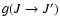 $g(J \to J')$