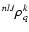 $\displaystyle ^{nl J}\rho_q^k$