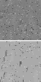 \begin{figure}
\par\includegraphics[width=7.2cm,height=7.2cm,clip]{0201f4a.eps}\par\includegraphics[width=7.2cm,height=7.2cm,clip]{0201f4b.eps}\end{figure}