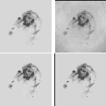 \begin{figure}
{
\includegraphics[width=6.5cm,clip]{354Fig21.ps}\hspace*{3mm}
...
...hspace*{3mm}
\includegraphics[width=6.5cm,clip]{354Fig24.ps} }
\par\end{figure}