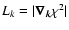 $L_k=\vert\vec{\nabla_k} \chi^2\vert$