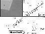 \begin{figure}
\par\includegraphics[angle=-90,width=8cm,clip]{1088fig8.ps} \end{figure}