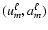 $(u_m^{\ell},a_m^{\ell})$