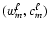 $(w_m^{\ell},c_m^{\ell})$