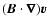 $(\vec{B}
\. \vec{\nabla}) \vec{v}$