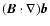 $(\vec{B} \cdot \nabla)\vec{b}$