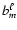 $b_m^{\ell}$