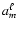 $a_m^{\ell}$