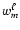 $w_m^{\ell}$