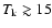 $T_{\rm k} \gtrsim 15$