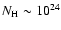 $N_{\rm H} \sim
10^{24}$
