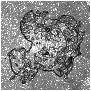 \begin{figure}
\par\includegraphics[width=7.8cm,clip]{1154_fig20.eps}
\end{figure}