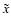 $\tilde{x}$
