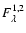 $F^{1,2}_{\lambda}$