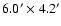 $6.0^{\prime} \times 4.2^{\prime}$